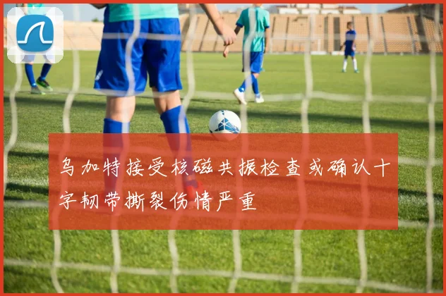 乌加特接受核磁共振检查或确认十字韧带撕裂伤情严重