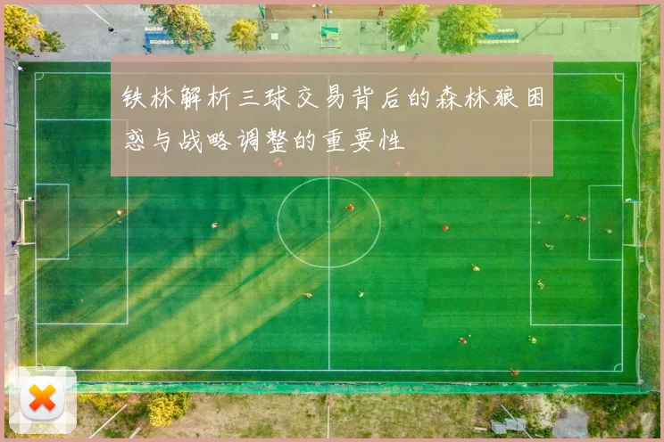 铁林解析三球交易背后的森林狼困惑与战略调整的重要性